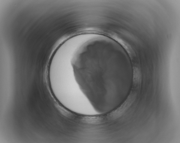 X0000111021474200907310922