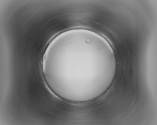 X0000111021476200907310922