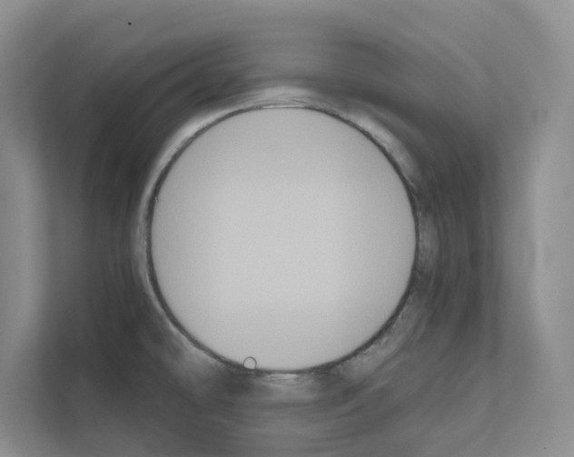X0000111021478200907310922