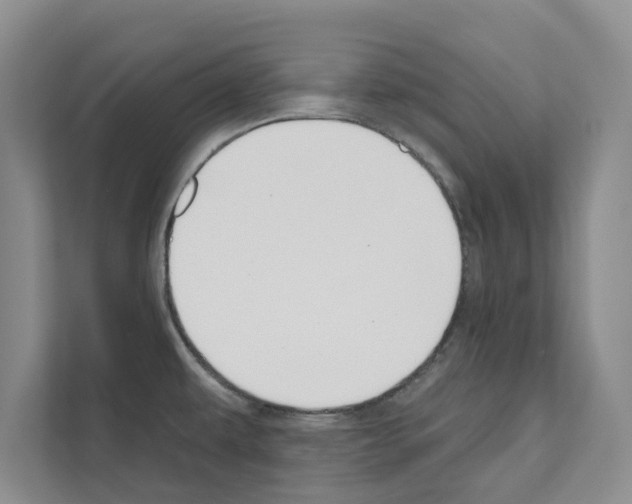 X0000111021479200907310922