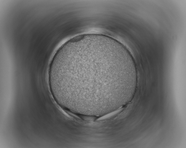 X0000111021480200907310922