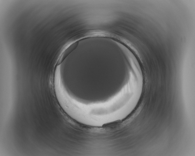 X0000111021481200907310922