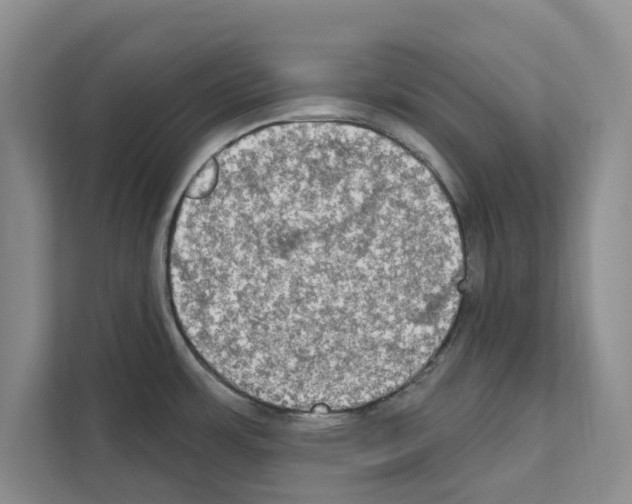 X0000111021483200907310921