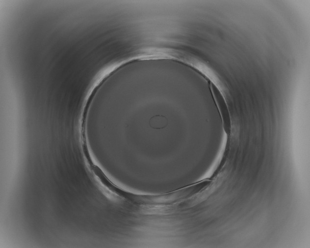 X0000111021485200907310921