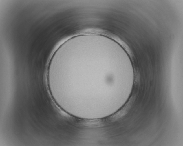 X0000111021486200907310921