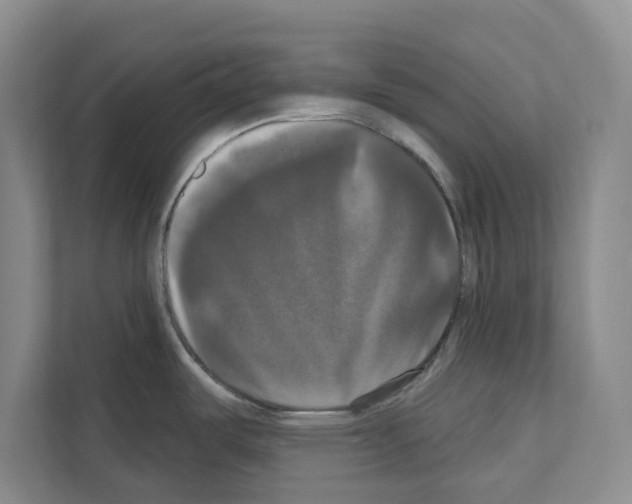 X0000111021487200907310921