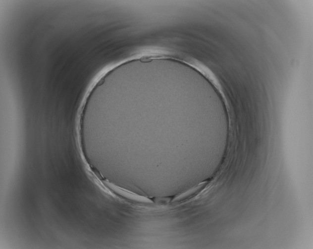 X0000111021488200907310921