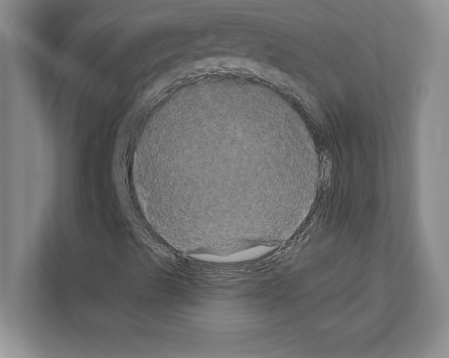 X0000111021489200907310921
