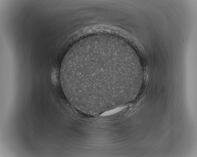 X0000111021490200907310921