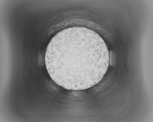 X0000111021491200907310921
