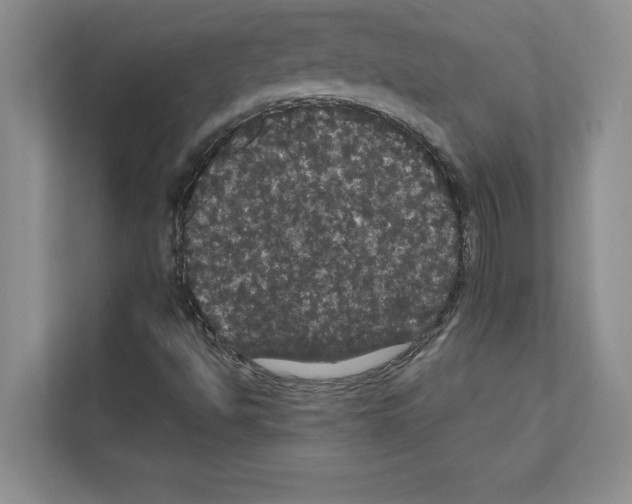 X0000111021494200907310921
