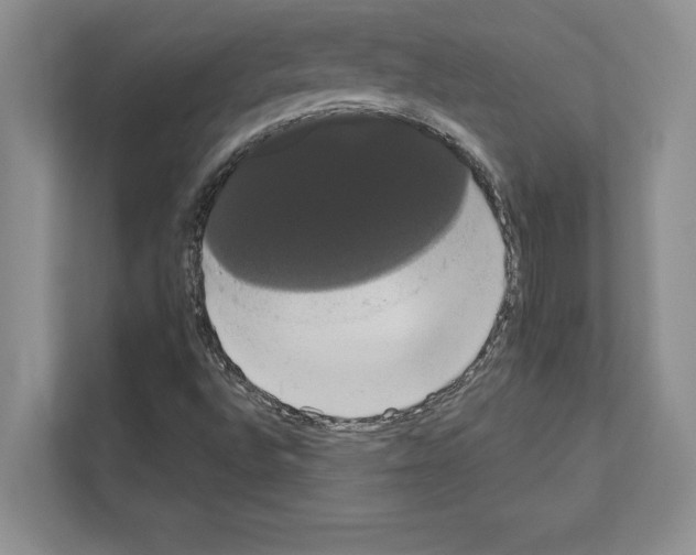 X0000111021496200907310921