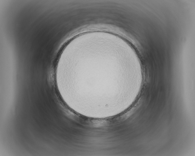 X0000111021498200907310921