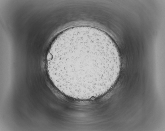 X0000111021499200907310921