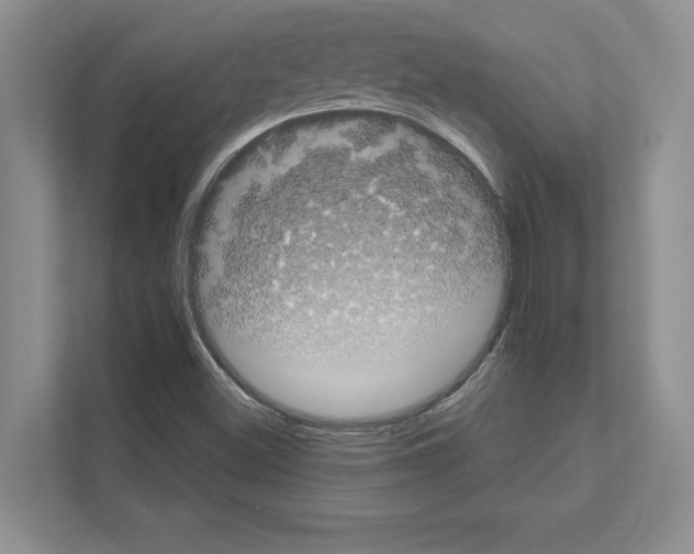 X0000111021500200907310921