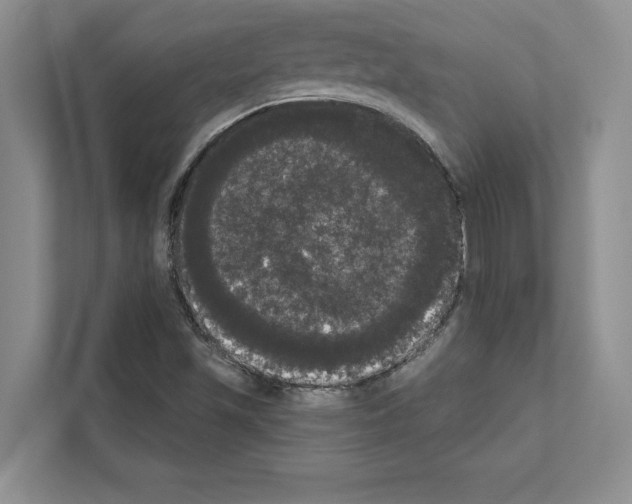 X0000111021501200907310921