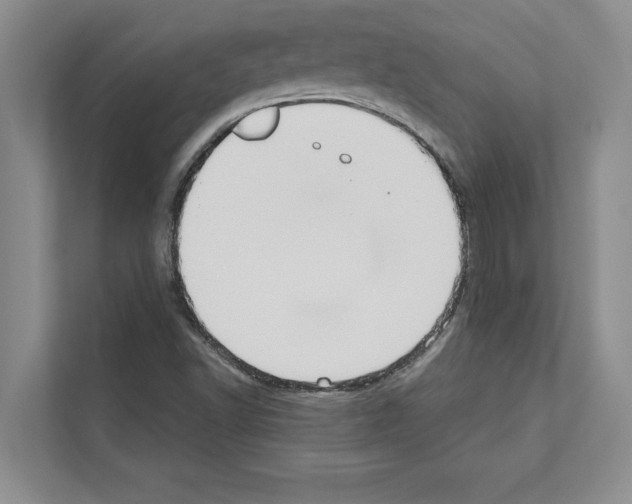X0000111021502200907310921