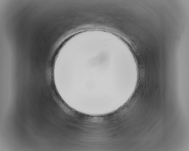 X0000111021503200907310921