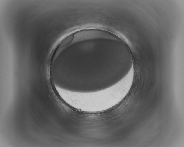 X0000111021504200907310921