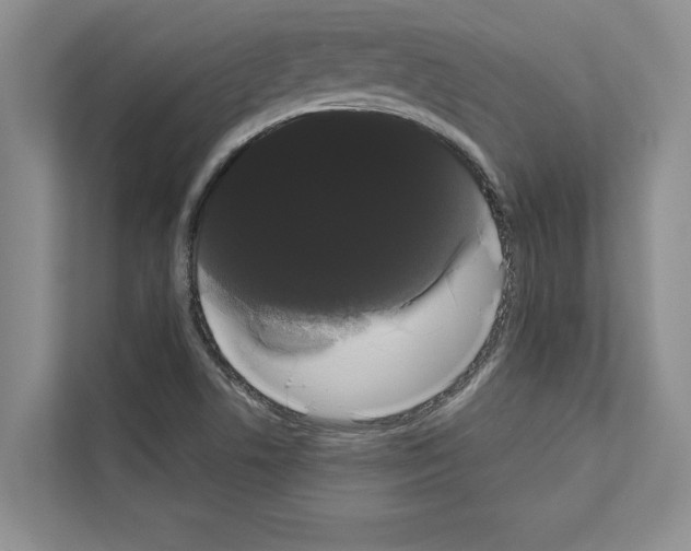 X0000111021506200907310921