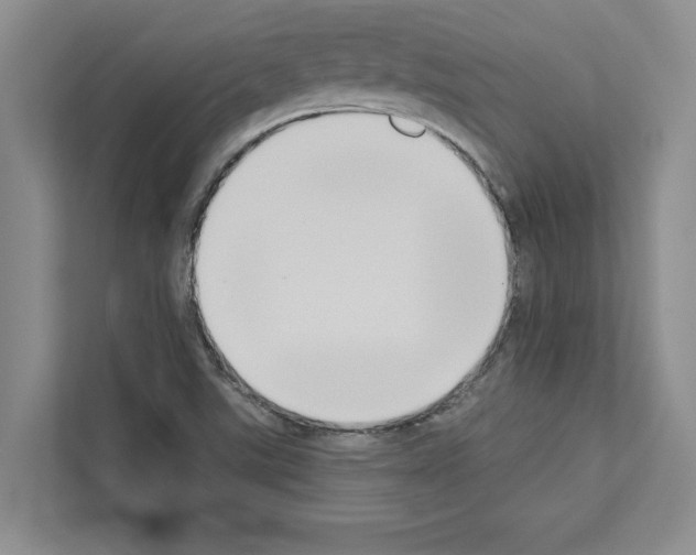 X0000111021507200907310921