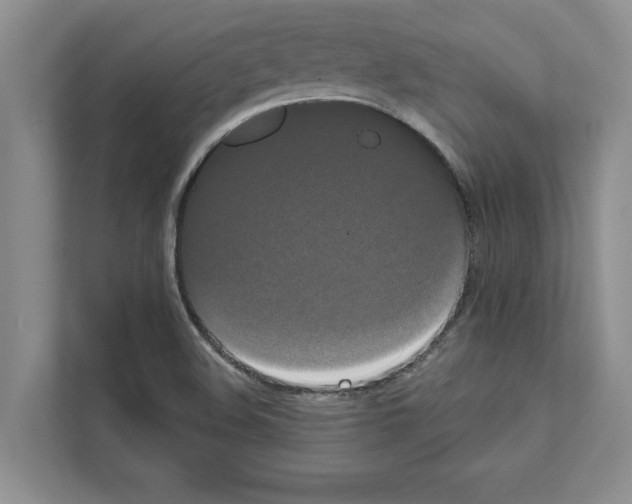 X0000111021508200907310921