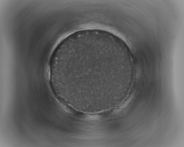 X0000111021509200907310921