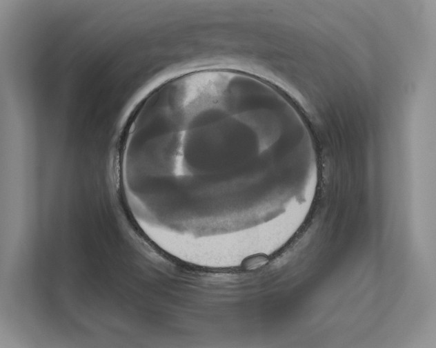 X0000111021510200907310921