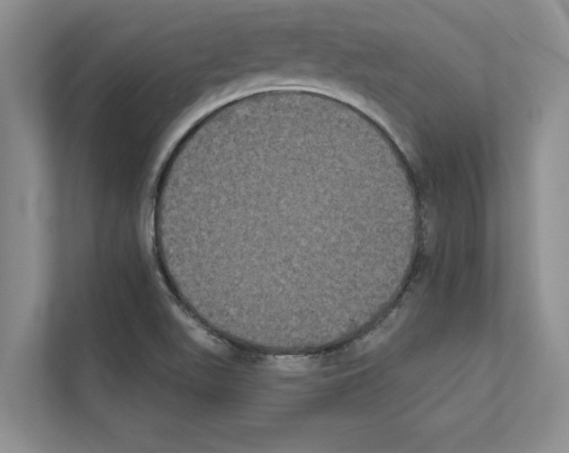 X0000111021511200907310921