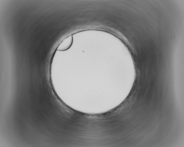 X0000111021512200907310921