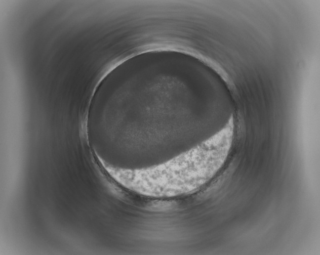 X0000111021513200907310921