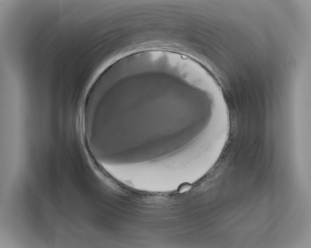 X0000111021515200907310921