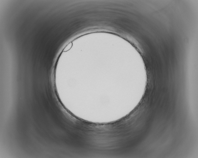X0000111021516200907310921