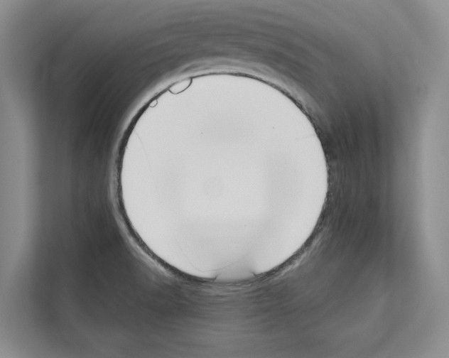 X0000111021518200907310921