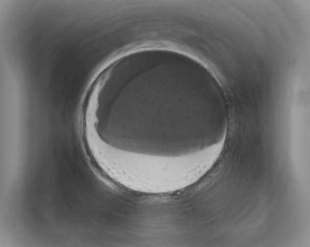 X0000111021519200907310921