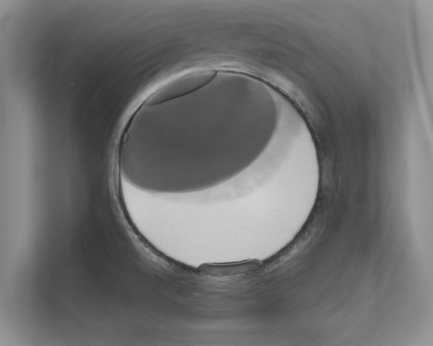 X0000111021520200907310921