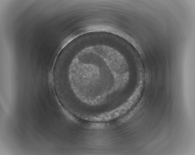 X0000111021521200907310921