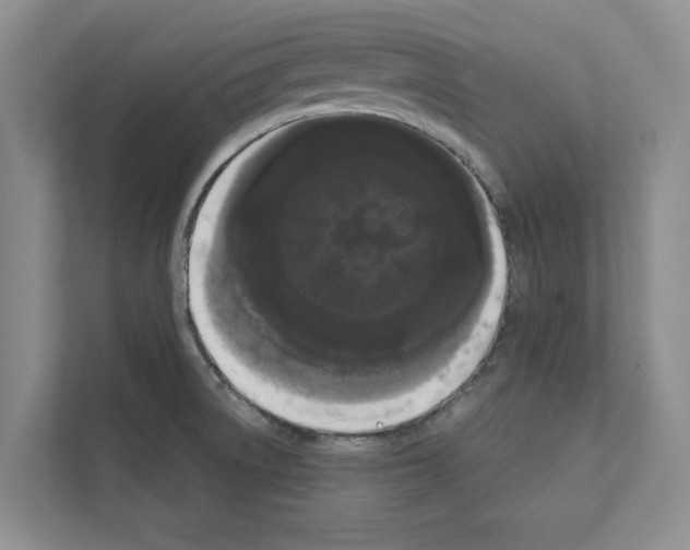 X0000111021522200907310921
