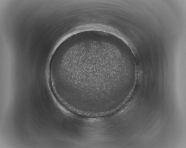 X0000111021523200907310921