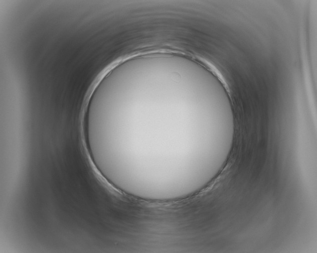 X0000111021524200907310921