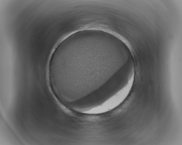 X0000111021525200907310921
