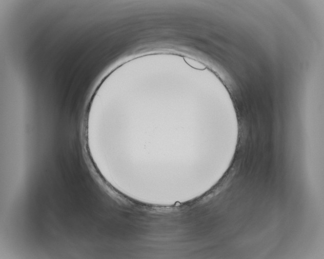 X0000111021526200907310921