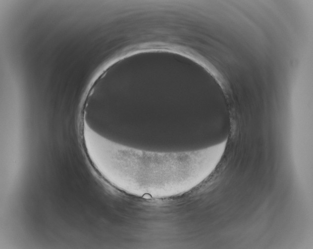 X0000111021527200907310921
