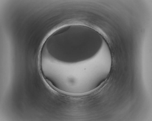 X0000111021528200907310921