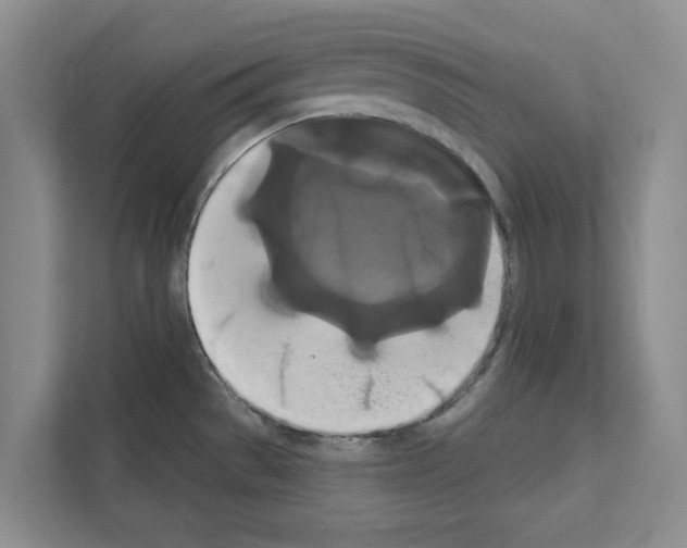 X0000111021529200907310921