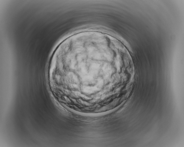 X0000111021530200907310921