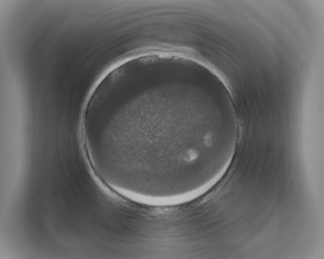 X0000111021531200907310921