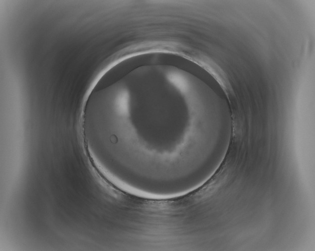 X0000111021532200907310921
