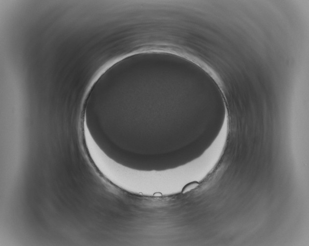 X0000111021533200907310921