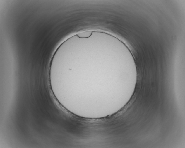 X0000111021534200907310921